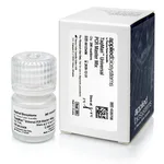 Thermo Fisher Scientific TaqMan Universal PCR Master Mix, 1 x 5 mL