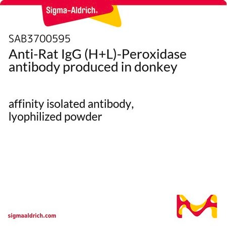 Merck Anti-Rat IgG (H+L)-Peroxidase antibody produced in donkey