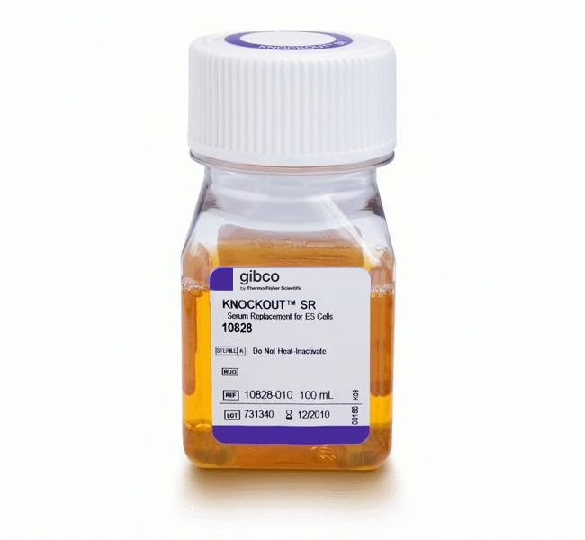 Thermo Fisher Scientific KnockOut Serum Replacement, 100 mL