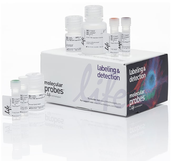 Thermo Fisher Scientific Click-iT Plus OPP Alexa Fluor 647 Protein Synthesis Assay Kit
