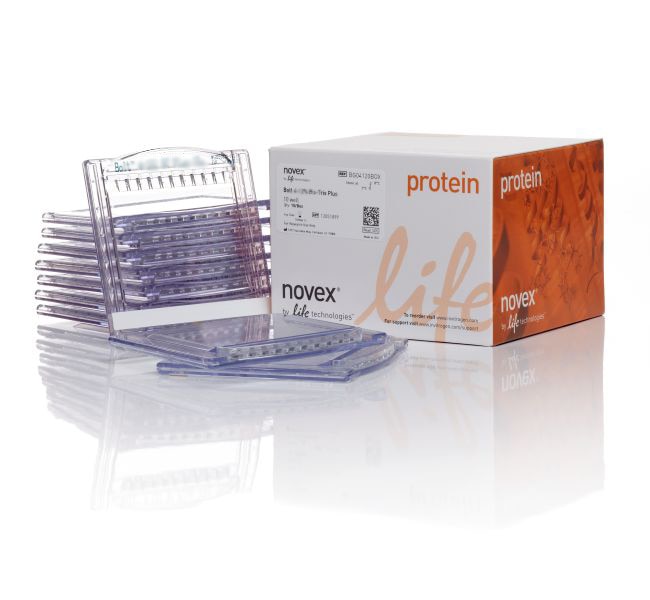 Thermo Fisher Scientific Bolt Bis-Tris Plus Mini Protein Gels, 4-12%, 1.0 mm, WedgeWell format, 10 gels (1 box)