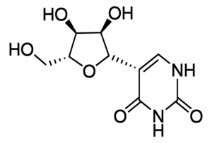 Merck PSEUDOURIDINE