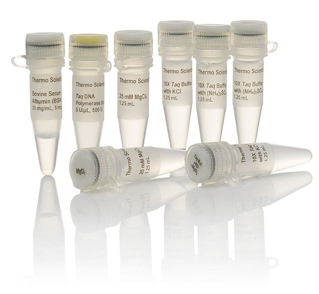 Thermo Fisher Scientific Taq DNA Polymerase, native, with BSA (5 U/μL), 500 units