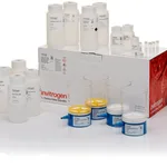 Thermo Fisher Scientific PureLink Expi Endotoxin-Free Giga Plasmid Purification Kit