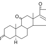 Merck 5-ALPHA-PREGN-16-ENE-3,11,20-T - 1 MG&