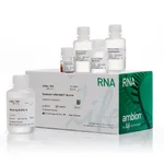 Thermo Fisher Scientific Dynabeads mRNA DIRECT Micro Purification Kit