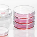 Sarstedt Cell culture dishes