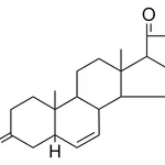 Merck 5-BETA-PREGN-6-ENE-3,20-DIONE - 1 MG
