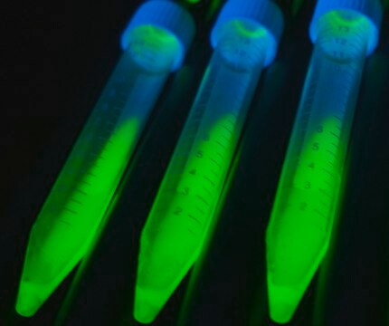 Merck ALICE(R) CELL-FREE PROTEIN EXPRESSION MI