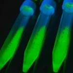 Merck ALICE(R) CELL-FREE PROTEIN EXPRESSION MI