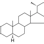 Merck 2-BENZYLIDENE-5-ALPHA-CHOLESTA - 1 MG&