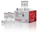 Thermo Fisher Scientific SuperScript First-Strand Synthesis System for RT-PCR