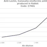 Merck RABBIT ANTI-CANAVALIA ENSIFORMIS LECTIN&