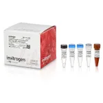 Thermo Fisher Scientific SuperScript III Platinum One-Step qRT-PCR Kit, 100 reactions