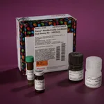 Thermo Fisher Scientific Pierce Renilla-Firefly Luciferase Dual Assay Kit, 100 Reaction Kit