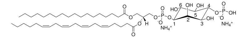 Merck 18:0-20:4 PI(4)P