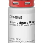 Merck RIBONUCLEASE B FROM FROM BOVINE PANCREA&