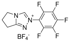 Merck 6,7-DIHYDRO-2-PENTAFLUOROPHENYL-5H-PYRR&