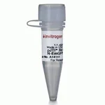 Thermo Fisher Scientific pJTI R4 Dest CMV N-EmGFP pA Vector