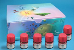 Merck BUCHWALD LIGANDS KIT I