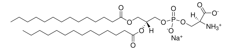 Merck 14:0 PS