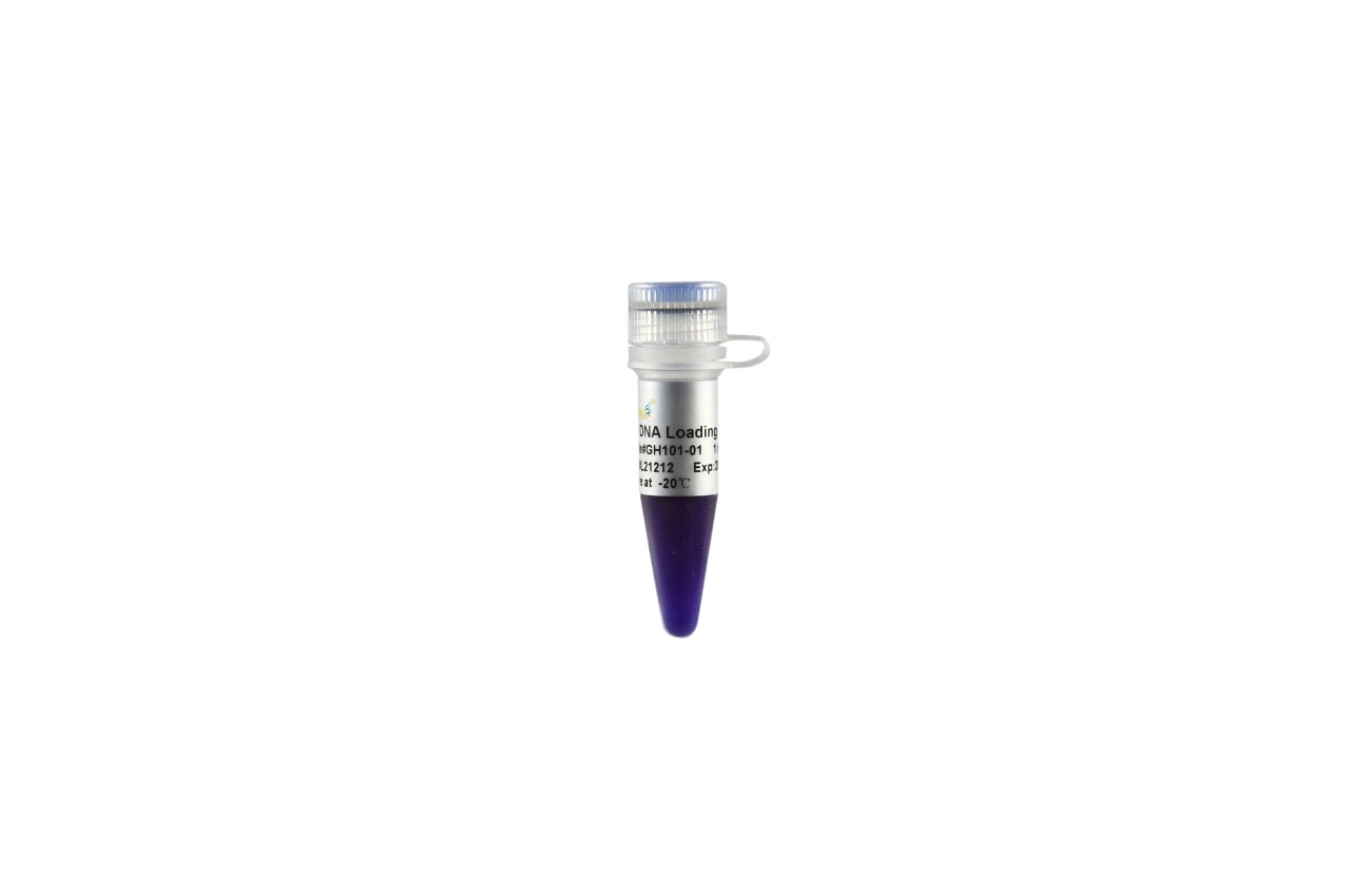 6×DNA Loading Buffer