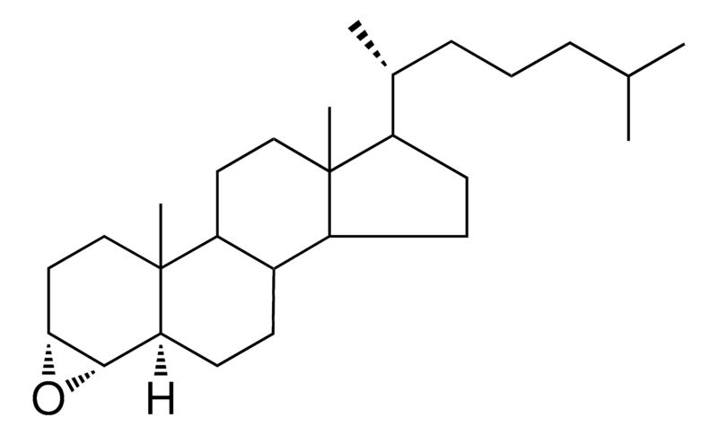Merck 3-ALPHA,4-ALPHA-EPOXY-5-ALPHA- - 1 MG&