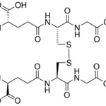 Merck GLUTATHIONE OXIDIZED FORM DISODIUM