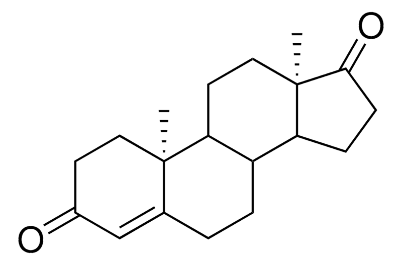 Merck Ent-Androstenedione