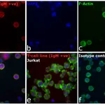 Thermo Fisher Scientific Goat anti-Human IgM Cross-Adsorbed Secondary Antibody, DyLight 550