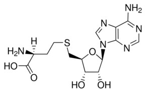 Merck S-ADENOSYL-L-HOMOCYSTEINE, UNITED STATES