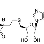 Merck S-ADENOSYL-L-HOMOCYSTEINE, UNITED STATES