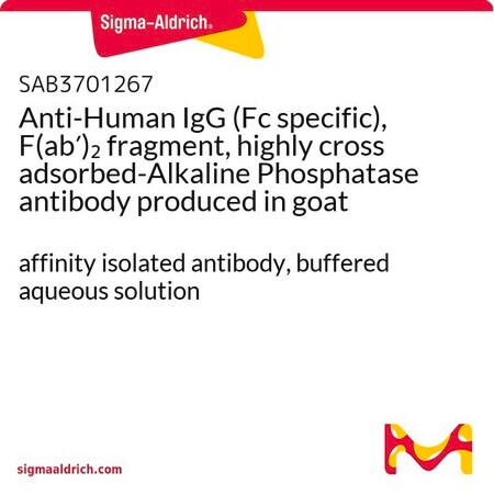 Merck Anti-Human IgG (Fc specific), F(ab')2 fragment, highly cross adsorbed-Alkaline Phosphatase antibody produced in goat