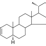 Merck 2-BENZYL-5-ALPHA-CHOLEST-2-ENE - 1 MG