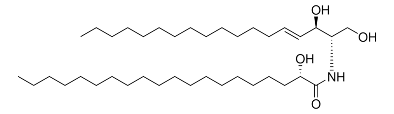 Merck 20:0(2S-OH) Ceramide