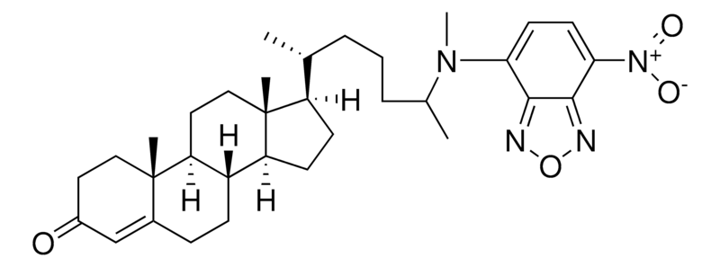 Merck 25-NBD cholest-4-en-3-one