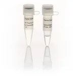 Thermo Fisher Scientific Exonuclease I (20 U/μL), 4,000 units