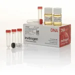 Thermo Fisher Scientific ElectroMAX DH5α-E Competent Cells