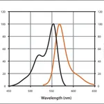 Merck Anti-Rat IgG (H+L), highly cross-adsorbed, CF(TM) 555 antibody produced in goat