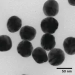 Merck SILVER NANOSPHERES, 50 NM (APS), 0.02 M&