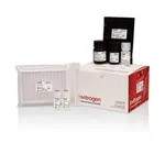 Thermo Fisher Scientific Calcium (Ca) Colorimetric Assay Kit
