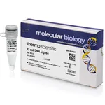 Thermo Fisher Scientific E. coli DNA Ligase