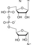 Merck A-NICOTINAMIDE ADENINE DINUCLEOTIDE