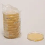 Merck MRS Agar*NutriSelect Basic