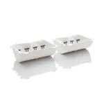 Thermo Fisher Scientific Bandmate Mini Blot Trays