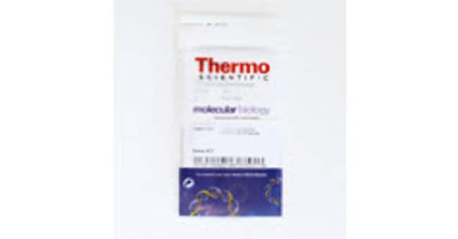Thermo Fisher Scientific T4 beta-glucosyltransferase