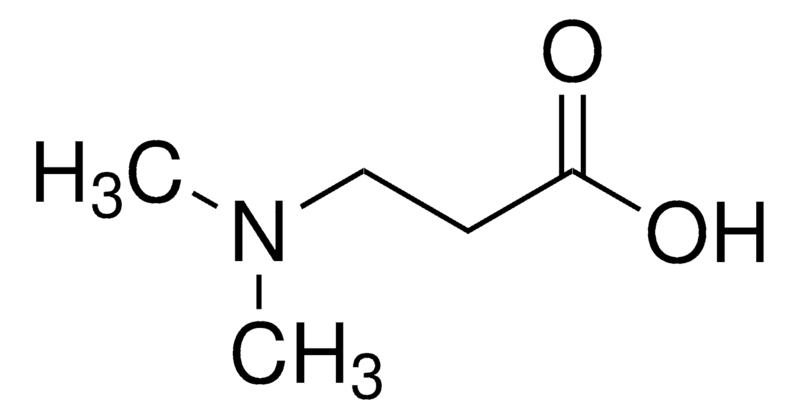Merck 3-dimethylaminopropionic acid