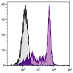 Thermo Fisher Scientific Mouse anti-Rat Kappa Light Chain Secondary Antibody, PE