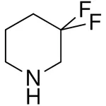 Merck 3,3-difluoro-piperidine