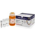 Thermo Fisher Scientific Silica Bead DNA Gel Extraction Kit
